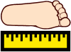 Icon of foot with ruler